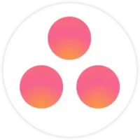 Asana Integration